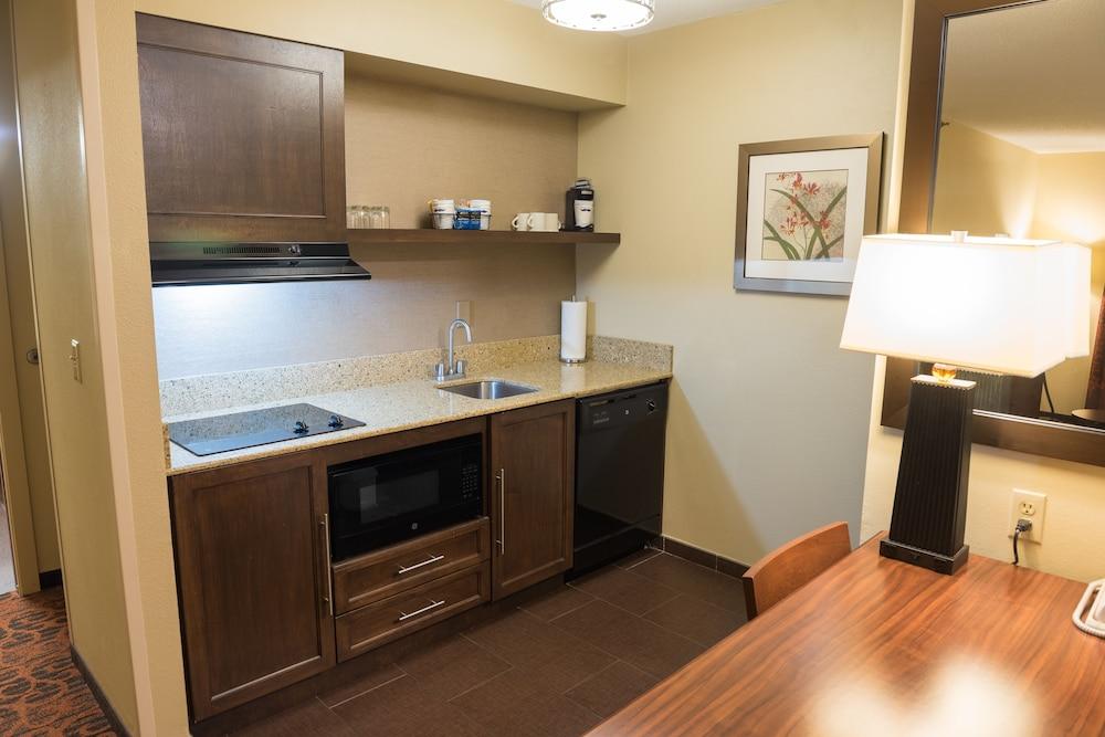 Hampton Inn & Suites Tampa-North Extérieur photo