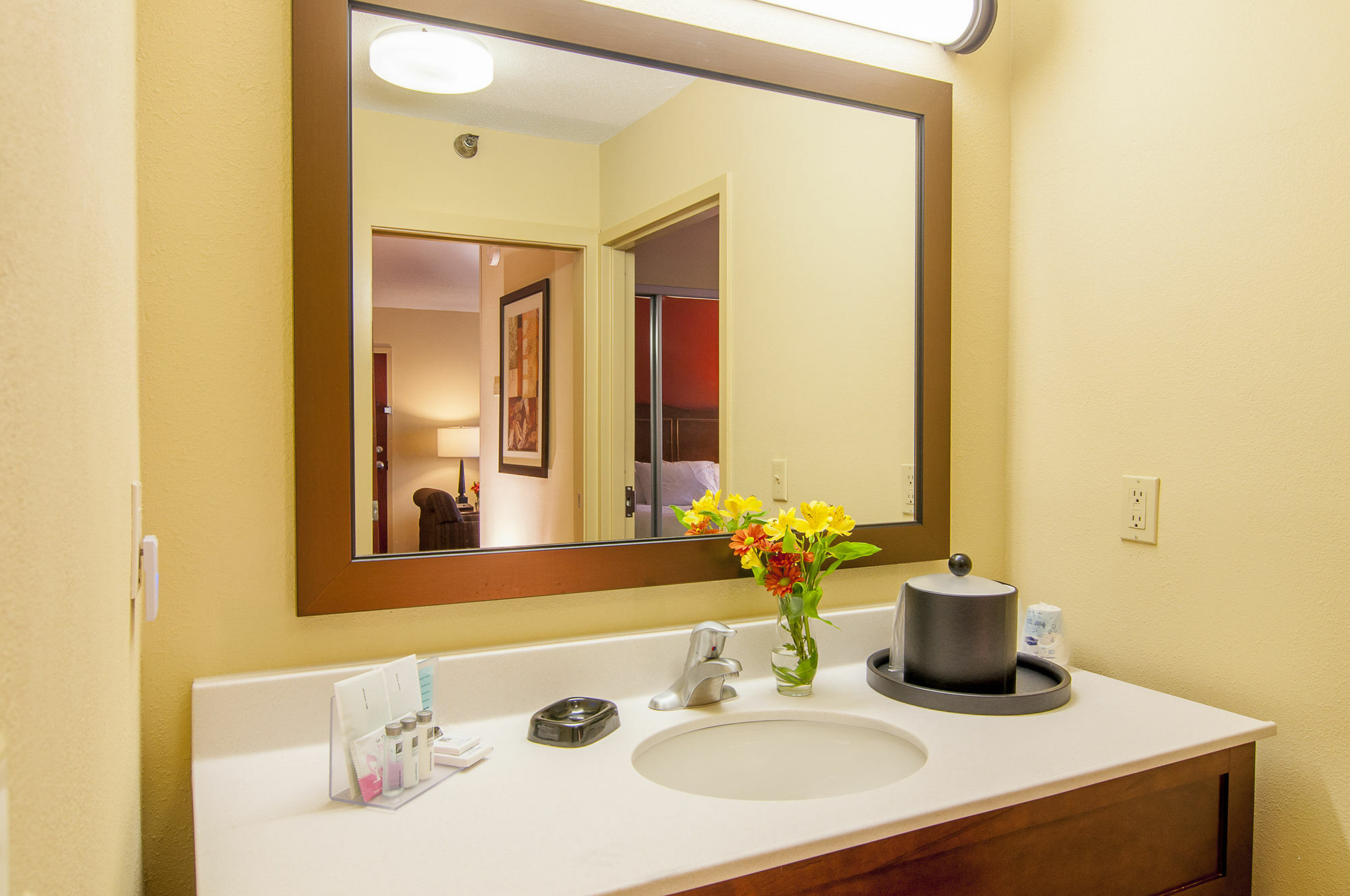 Hampton Inn & Suites Tampa-North Extérieur photo